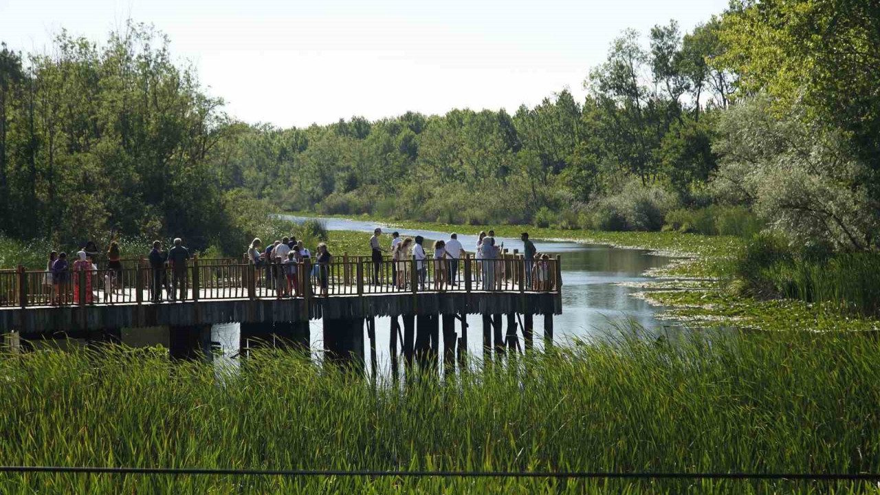 ‘Turizmin Parlayan Yıldızı’na Ziyaretçi Akını! Acarlar Longozu Tabiat Parkı 150 Bin Kişi Ağırladı