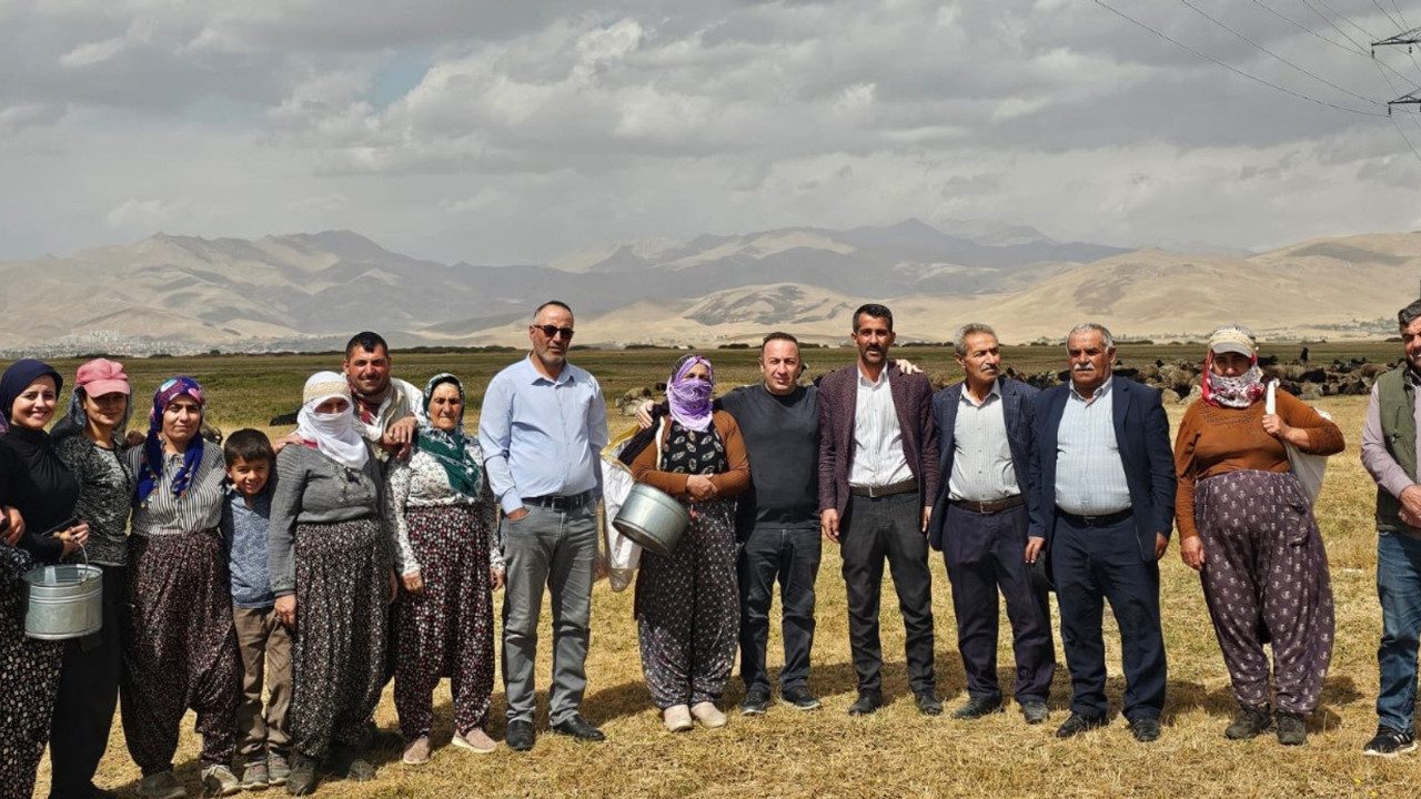 Yüksekova’da Şap Hastalığında Yeni Gelişme! Kontrol Altına Alındı