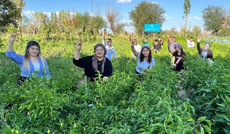 Yüzde Yüz Yerli Tohumla İlk Hasat