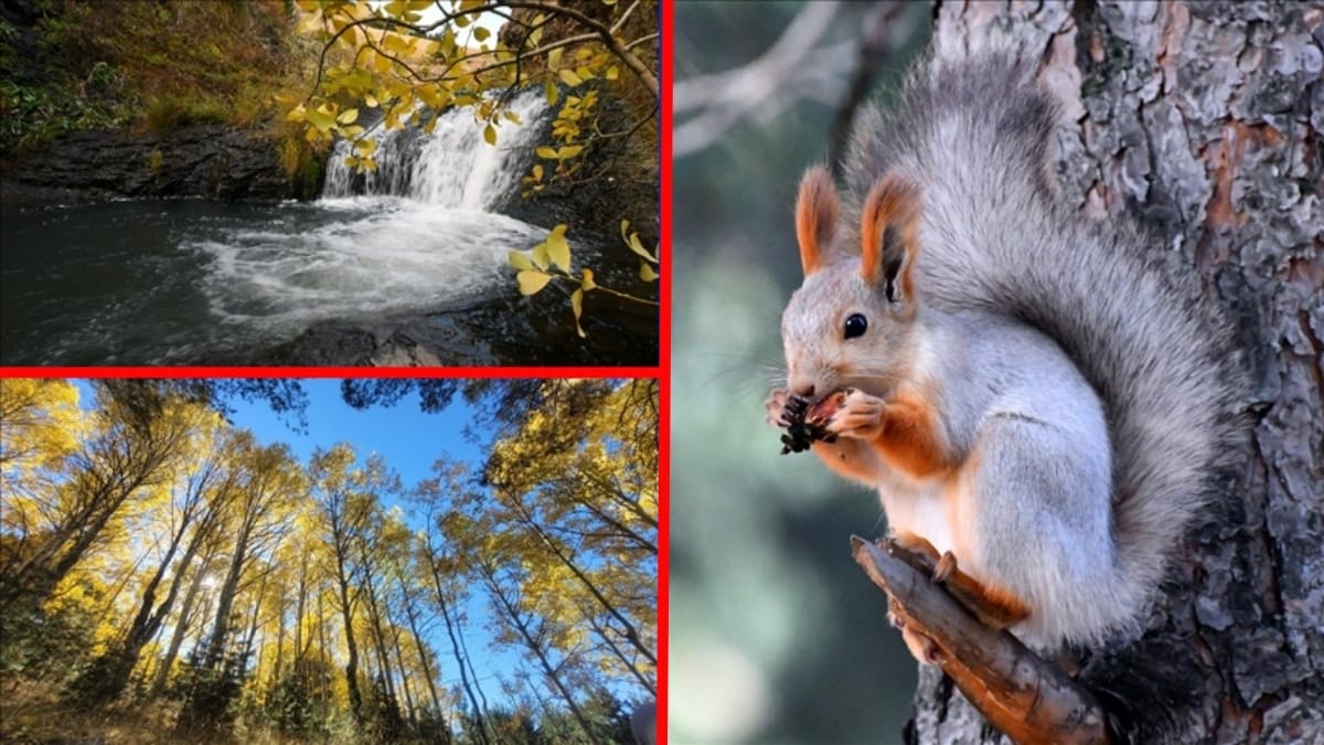 Sonbahar güzelliği ile büyülüyor! Kars’taki Keklik Vadisi görenleri hayran bırakıyor