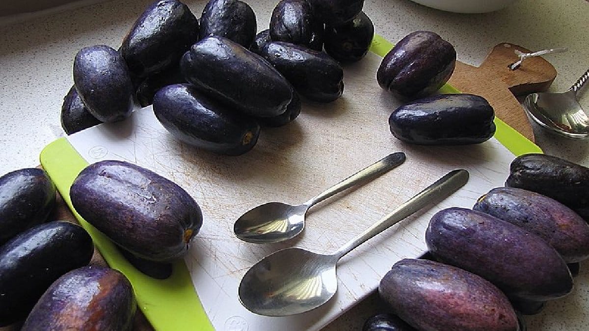 Türkiye’de kimse bilmiyor! Rengi ayrı tadı ayrı güzel! Bulan mutlaka denesin