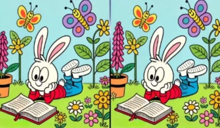 Dahi testi! İki resim arasındaki 3 farkı 12 saniyede bulabilir misiniz?