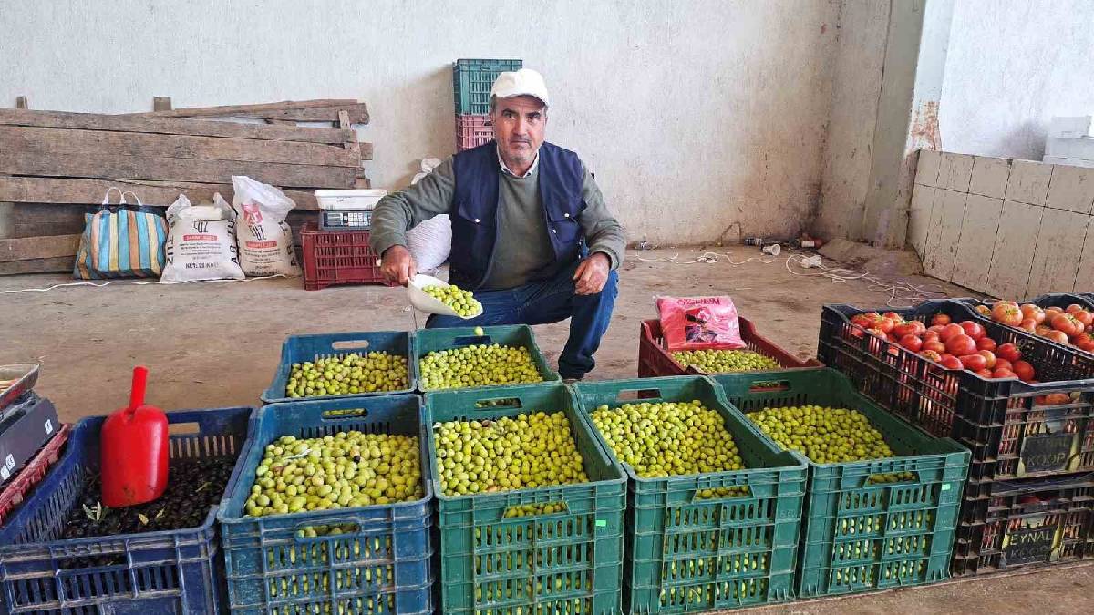 Hem sağlıklı hem ekonomik! Kilosu 160 TL: İki önemli kriter bir arada olunca talep de arttı