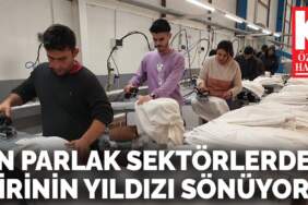 En parlak sektörlerden birinin yıldızı sönüyor