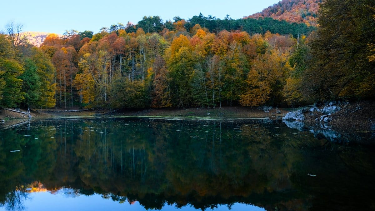 Burası Japonya değil ama… İstanbul’a 4 saat: Türkiye’nin sonbaharda büyüleyen renk cümbüşü