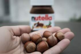 Nutella – Türk fındığı savaşında yeni perde: Ferrero’nun fındık alım taahhüdü düştü