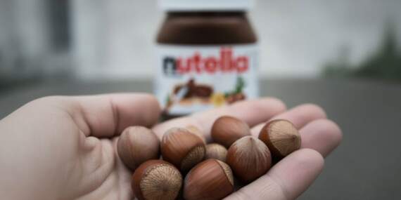 Nutella – Türk fındığı savaşında yeni perde: Ferrero’nun fındık alım taahhüdü düştü