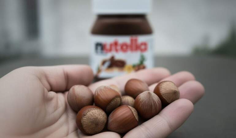 Nutella – Türk fındığı savaşında yeni perde: Ferrero’nun fındık alım taahhüdü düştü