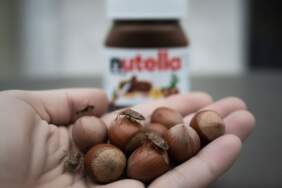 Nutella, Türkiye’den fındık alımını neden durdurdu? Ferrero, Türkiye’den neden fındık almıyor? Nutella ve fındık fiyatları zamlanır mı
