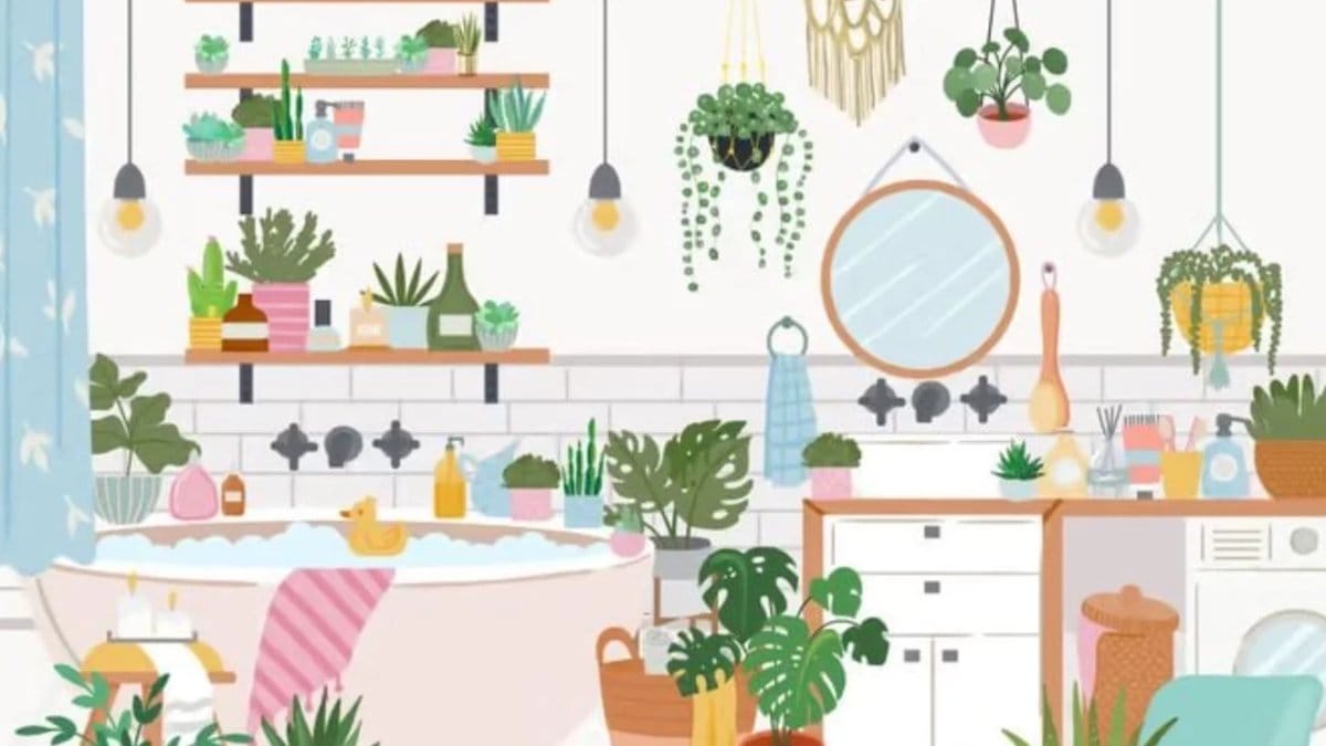 Bakarken kafanız karışacak! Resimdeki gizli kaktüsü bulabilir misiniz? Sadece 5 saniyeniz var