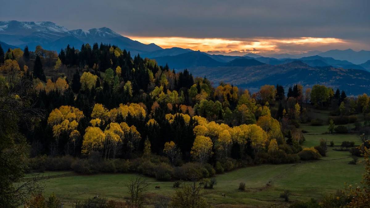 Karadeniz’in yaylaları eşsiz görünümde! Şimdi keşfin tam zamanı: Bu hali ayrı cezbedecek