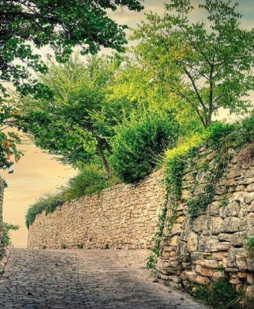 Gündüz serin gece sıcak tutuyor! Taş yol deyip geçmeyin: Özellikleri sizi bile şaşırtacak