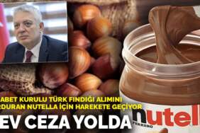 Rekabet Kurulu Türk fındığı alımını durduran Nutella için harekete geçiyor: Dev ceza yolda