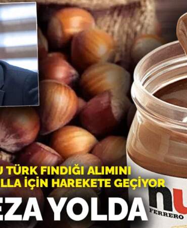 Rekabet Kurulu Türk fındığı alımını durduran Nutella için harekete geçiyor: Dev ceza yolda