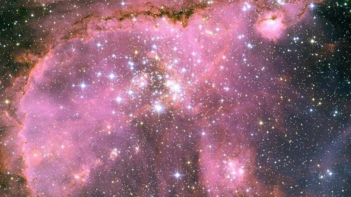 Aşkta yeni bir dönem başlıyor! Aslan, Akrep, Boğa ve Kova burçları hayatlarını yeniden şekillendiriyor