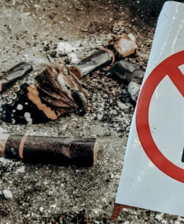 Yere çöp ve izmarit atmanın bedeli ağır olacak! Cezası 14 bin liradan 152 bin liraya yükseltildi