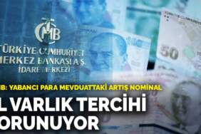 TCMB: TL varlık tercihi korunuyor