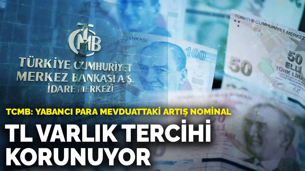 TCMB: TL varlık tercihi korunuyor
