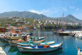 Bir kez giden dönmek istemiyor! Köy değil sanki sanat eseri: Rüzgar, deniz, zeytin ağaçları…