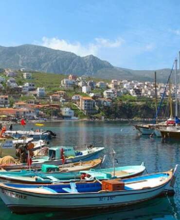 Bir kez giden dönmek istemiyor! Köy değil sanki sanat eseri: Rüzgar, deniz, zeytin ağaçları…