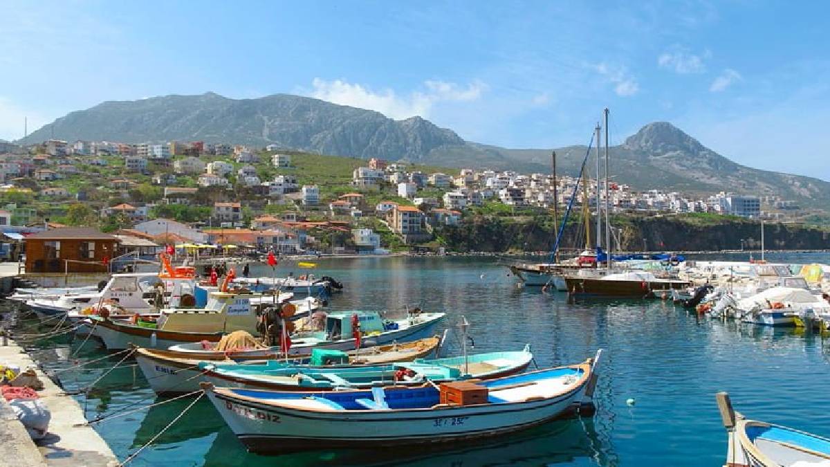 Bir kez giden dönmek istemiyor! Köy değil sanki sanat eseri: Rüzgar, deniz, zeytin ağaçları…