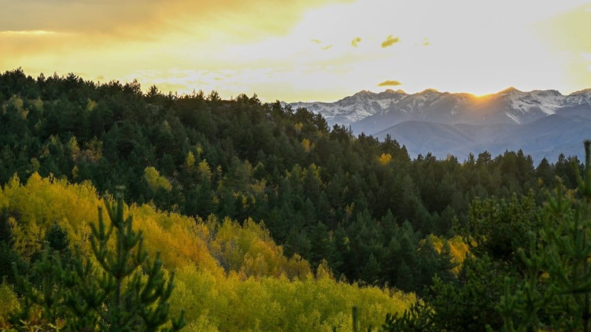 Gümüşhane’de sonbahar şöleni! Alpler’i aratmıyor: Zirvelerde kar, vadilerde renk cümbüşü