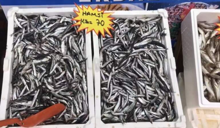 Balık tüketiminde önemli uyarı! “Buzhane balığından uzak durun!” Fiyatlar ne zaman düşecek?