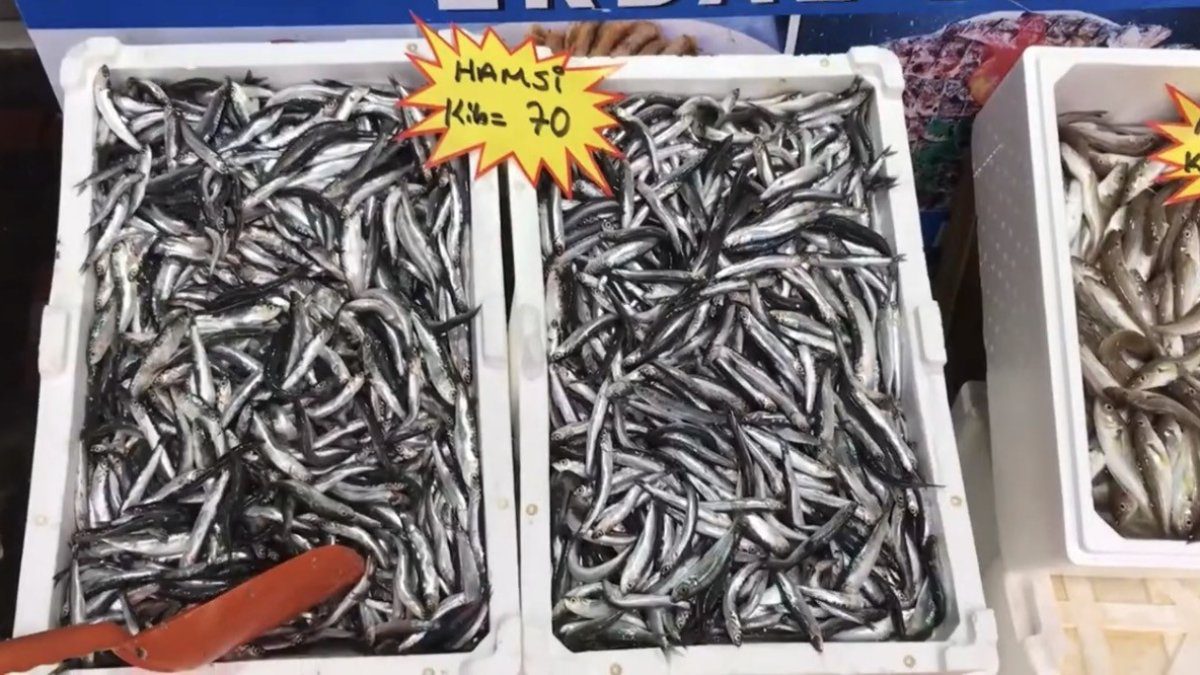 Balık tüketiminde önemli uyarı! “Buzhane balığından uzak durun!” Fiyatlar ne zaman düşecek?