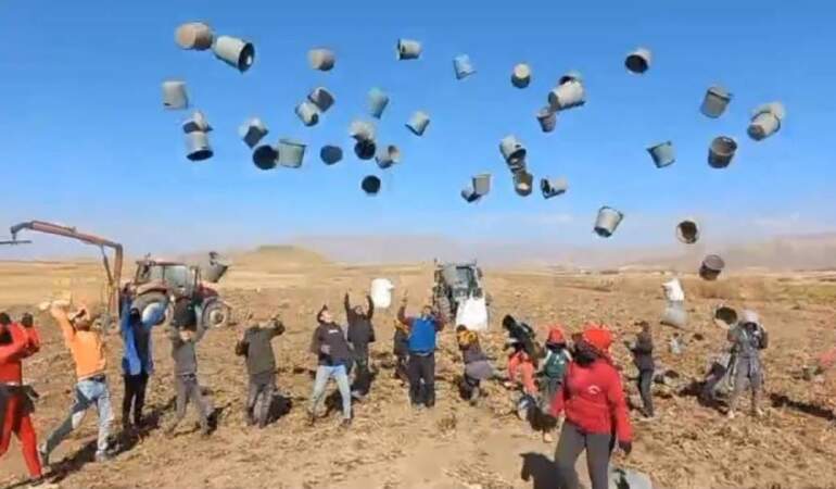 500 dönümde hasat sona erdi, kovalarla kutlama yapıldı! 1650 tonluk verim yüzleri güldürdü
