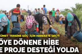 Hükümet ‘Tersine Göç’ için harekete geçti: Köye dönene hibe ve proje desteği yolda