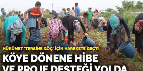 Hükümet ‘Tersine Göç’ için harekete geçti: Köye dönene hibe ve proje desteği yolda
