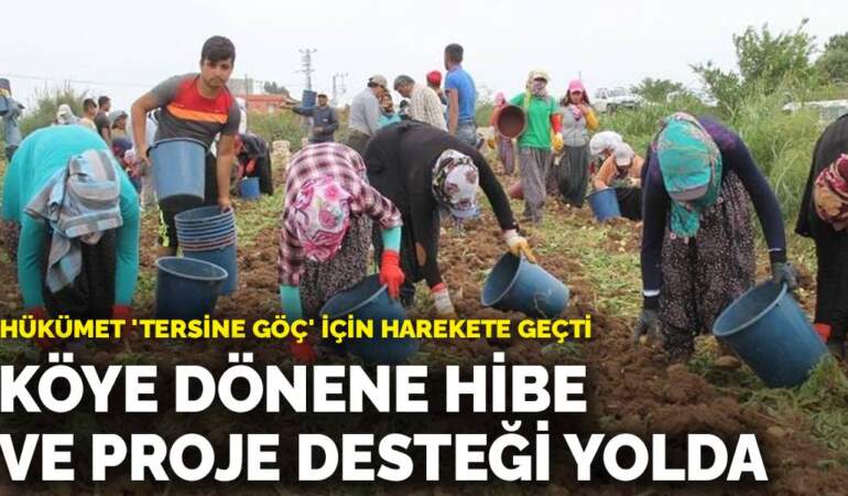 Hükümet ‘Tersine Göç’ için harekete geçti: Köye dönene hibe ve proje desteği yolda