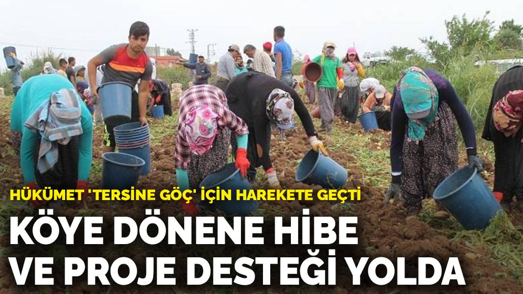 Hükümet ‘Tersine Göç’ için harekete geçti: Köye dönene hibe ve proje desteği yolda