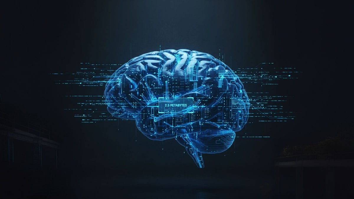 İnsan beyni kaç gigabayt bilgi depolayabilir? İnsan beyni kaç terabayt bilgi saklayabilir? Beyin ne kadar veri depolayabilir?