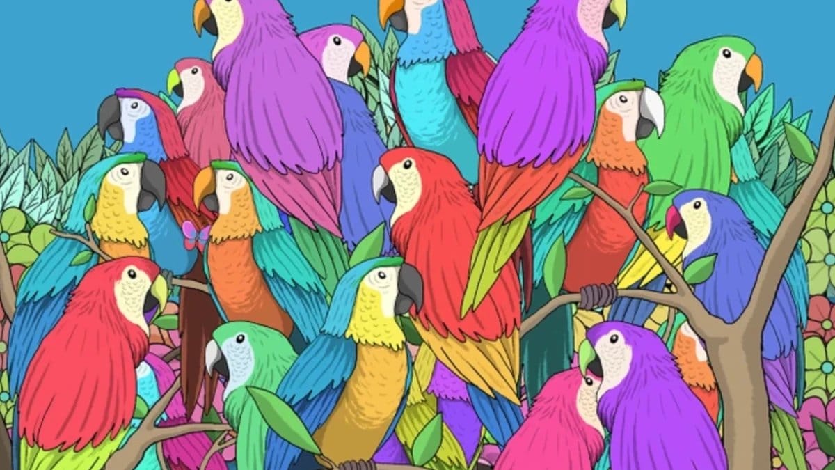 140 kişi denedi 5 saniyede sonucu bulan çıkmadı! Siz saklı kelebeği bulabilir misiniz?