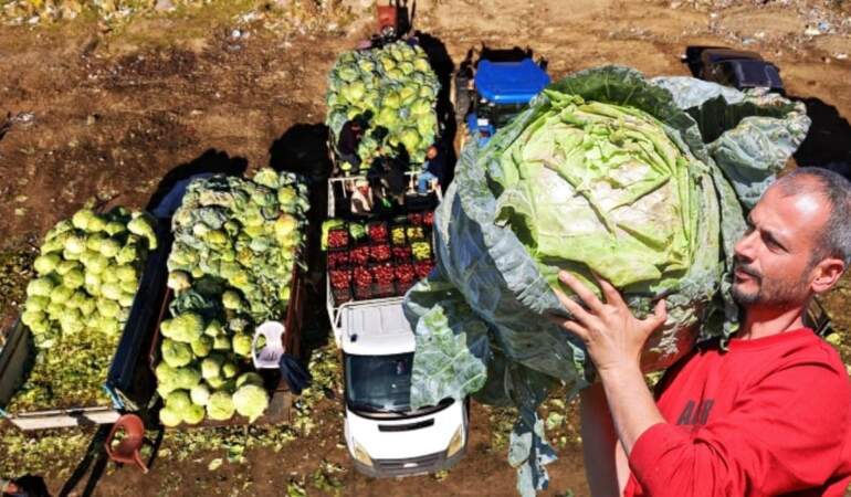 Ata tohumuyla üretildi, tanesi 50 kilo geldi! Bereketli hasat başladı: 100-150 liraya satılıyor