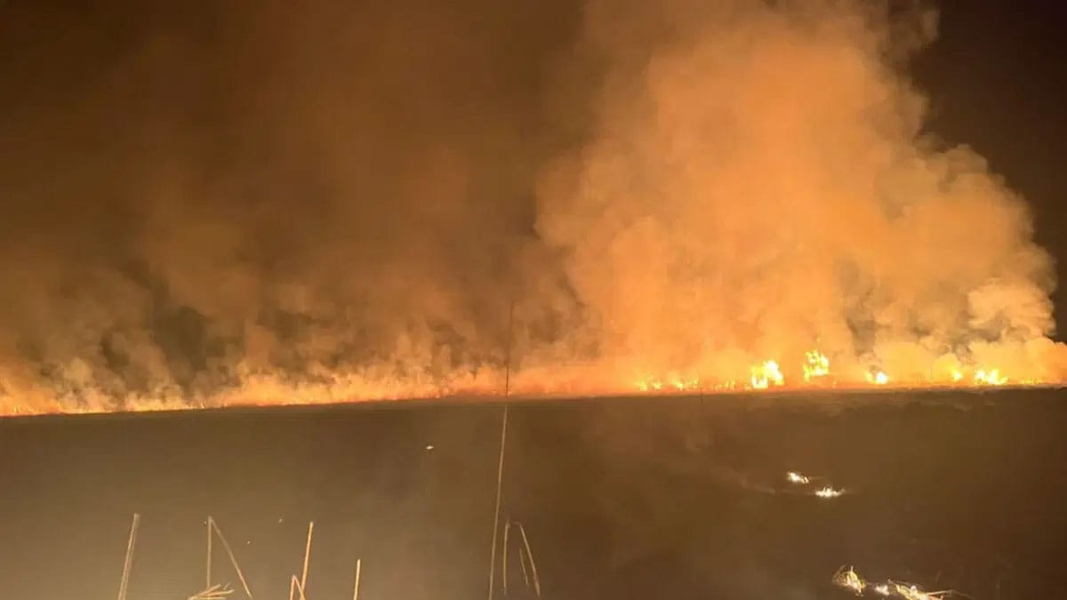 Hakkari ‘kuş cenneti’nde korkutan yangın