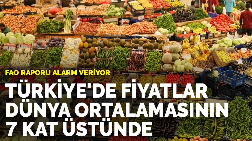 FAO raporu alarm veriyor: Türkiye’de fiyatlar dünya ortalamasının 7 kat üstünde