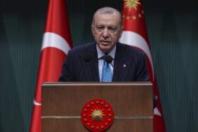 Erdoğan, Gürcistan Başbakanı ile uçak kazasını görüştü