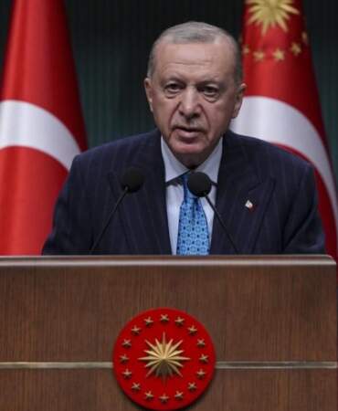Erdoğan, Gürcistan Başbakanı ile uçak kazasını görüştü
