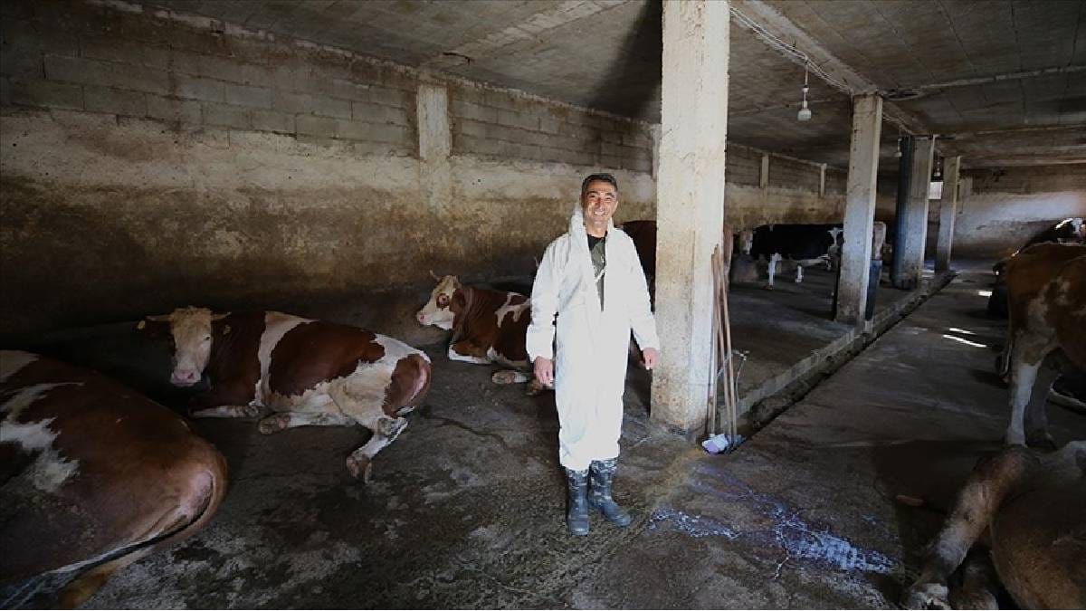 Devlet destekledi yeni hayata geçti! 1 yılda hayvan sayısı 56’ya çıktı: Şimdi hem üretiyor hem kazanıyor