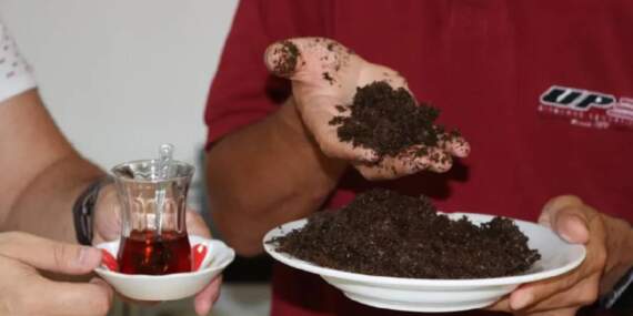 Çay posası atan pişman olacak! Şimdiye kadar nasıl fark etmemişiz: İşte çay posasının kullanıldığı yerler…