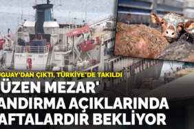 Uruguay’dan çıktı, Türkiye’de takıldı: ‘Yüzen mezar’ Bandırma açıklarında haftalardır bekliyor