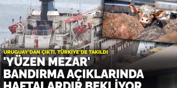 Uruguay’dan çıktı, Türkiye’de takıldı: ‘Yüzen mezar’ Bandırma açıklarında haftalardır bekliyor