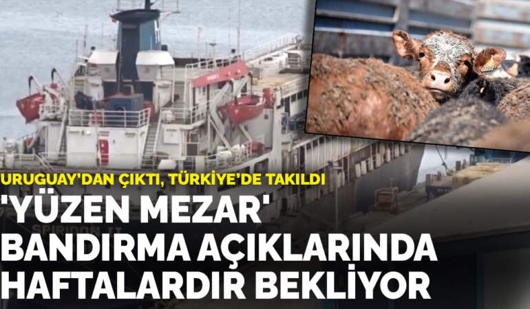 Uruguay’dan çıktı, Türkiye’de takıldı: ‘Yüzen mezar’ Bandırma açıklarında haftalardır bekliyor