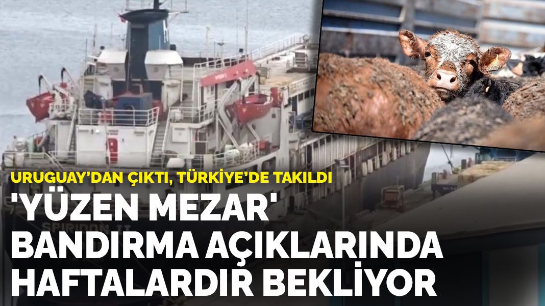 Uruguay’dan çıktı, Türkiye’de takıldı: ‘Yüzen mezar’ Bandırma açıklarında haftalardır bekliyor
