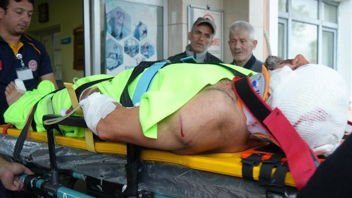 Mantar toplarken ayının saldırısına uğrayan imam yaralandı