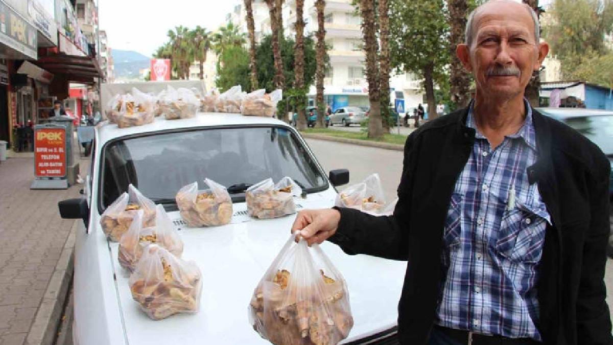 Şimşek ve gök gürültüsünden sonra çıkıyor, tek tek toplanıyor! Ormandan gelen geçim kaynağı: 450 TL’den satılıyor