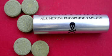 Böcek Ailesinin Ölümünün Ardından… Bu Zehre Dikkat, Bakkalda Bile Satılıyor! Kutusu Açıldığı An Geri Dönüşü Yok