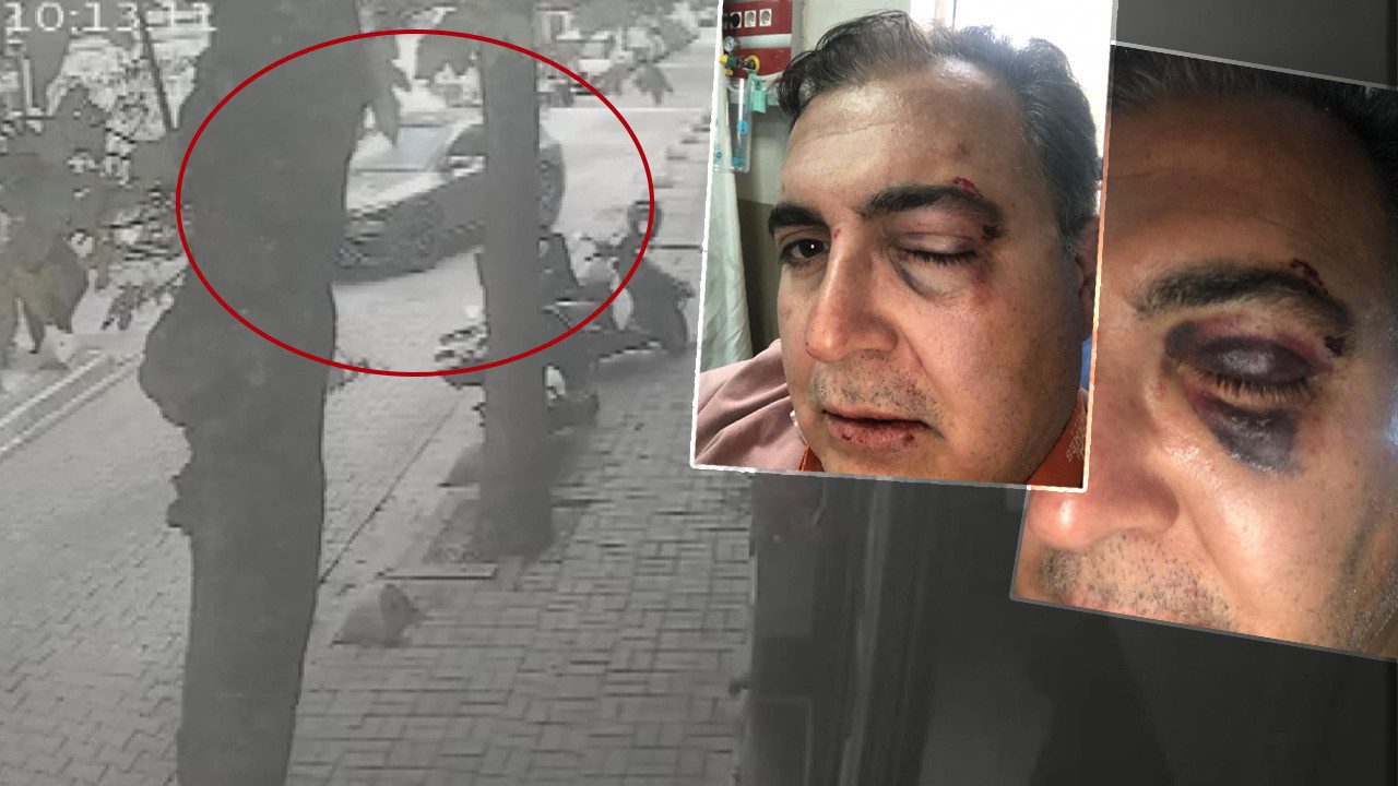 İstanbul’un Göbeğinde Dehşete Düşüren Anlar! Sokak Kedilerini Besleyen İş İnsanına Yumruklu Saldırı